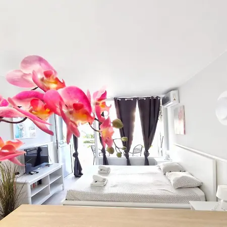 Sunshine Borinquen Appartement *