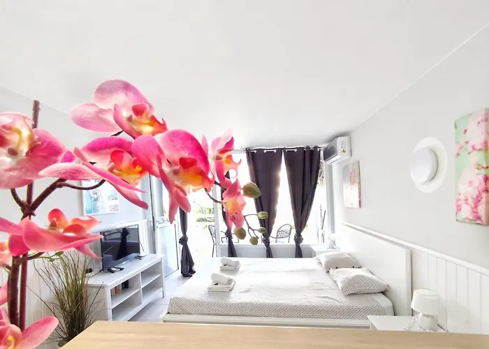 Sunshine Borinquen 公寓 *